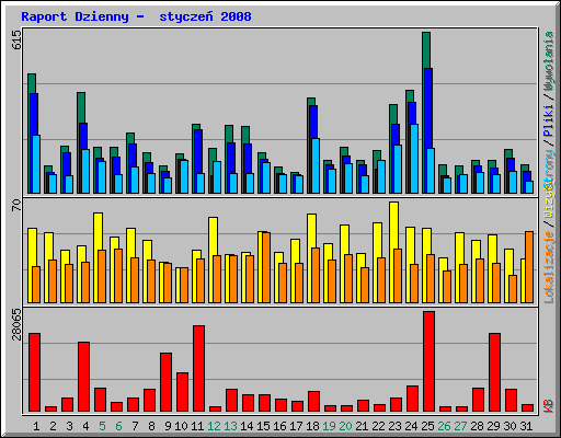 Raport Dzienny -  stycze 2008