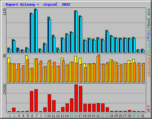 Raport Dzienny -  styczeń 2022