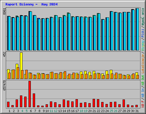 Raport Dzienny -  May 2024