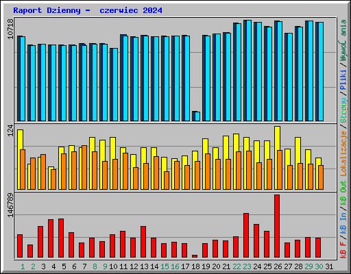 Raport Dzienny -  czerwiec 2024