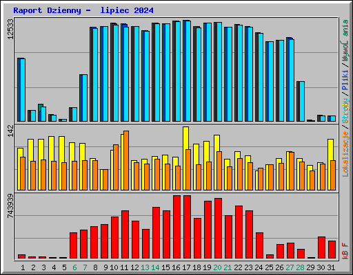 Raport Dzienny -  lipiec 2024