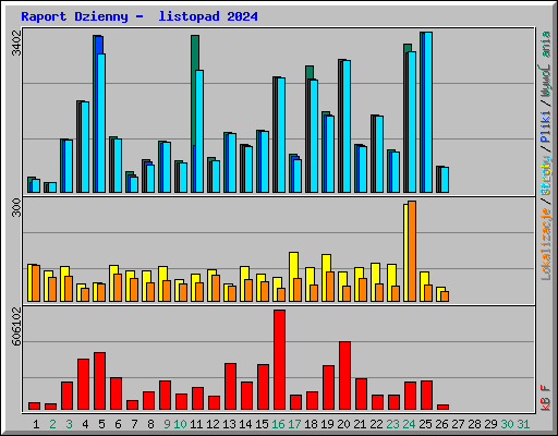 Raport Dzienny -  listopad 2024