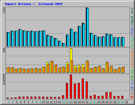 Raport Dzienny -  listopad 2025