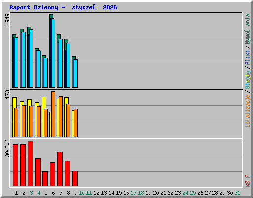 Raport Dzienny -  styczeń 2026