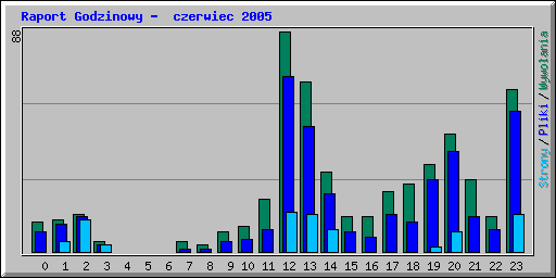 Raport Godzinowy -  czerwiec 2005