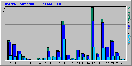 Raport Godzinowy -  lipiec 2005