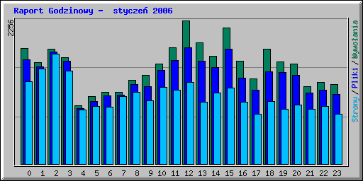 Raport Godzinowy -  stycze 2006