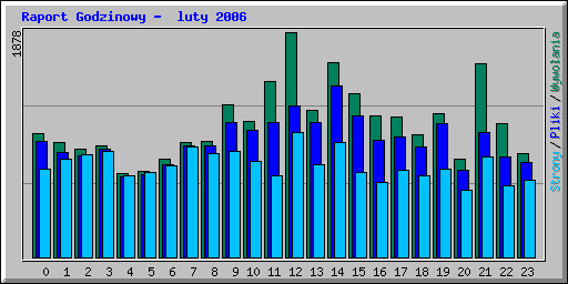 Raport Godzinowy -  luty 2006