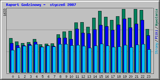 Raport Godzinowy -  stycze 2007