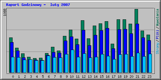 Raport Godzinowy -  luty 2007