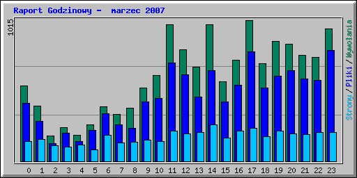 Raport Godzinowy -  marzec 2007