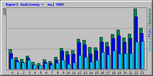 Raport Godzinowy -  maj 2007