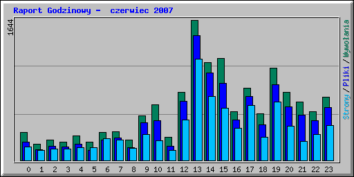 Raport Godzinowy -  czerwiec 2007