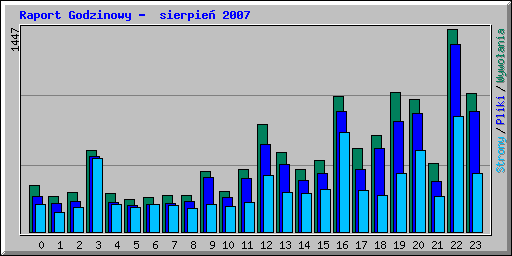 Raport Godzinowy -  sierpie 2007