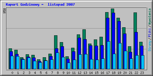Raport Godzinowy -  listopad 2007