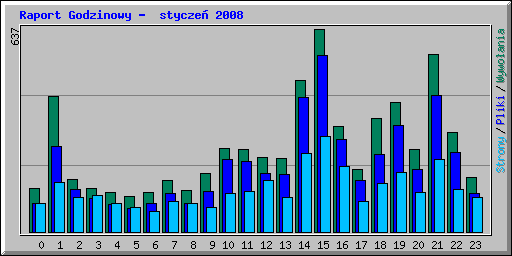 Raport Godzinowy -  stycze 2008