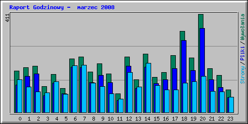 Raport Godzinowy -  marzec 2008