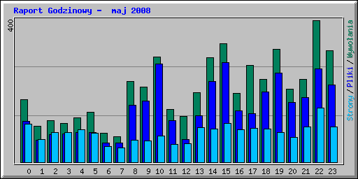 Raport Godzinowy -  maj 2008
