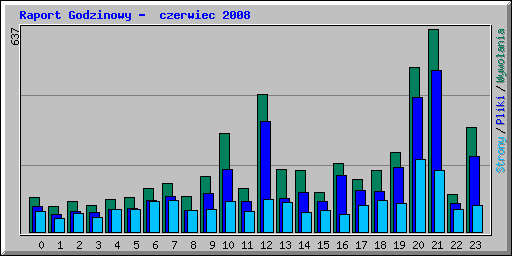 Raport Godzinowy -  czerwiec 2008