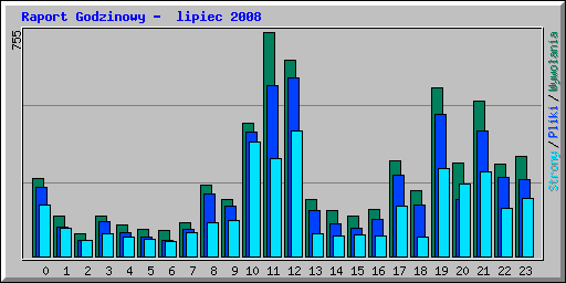 Raport Godzinowy -  lipiec 2008