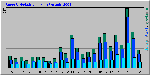 Raport Godzinowy -  stycze 2009