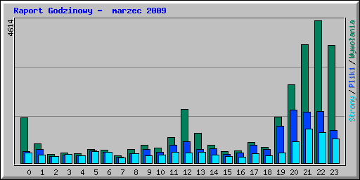 Raport Godzinowy -  marzec 2009