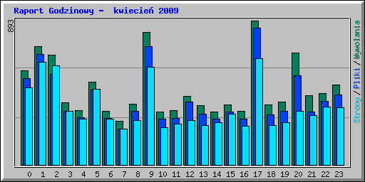 Raport Godzinowy -  kwiecie 2009