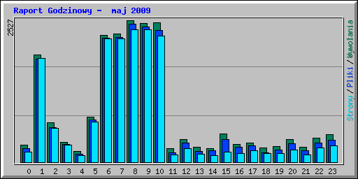 Raport Godzinowy -  maj 2009