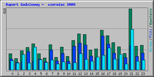 Raport Godzinowy -  czerwiec 2009