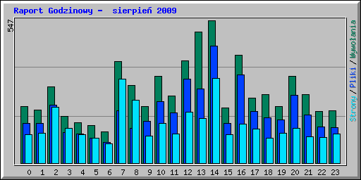 Raport Godzinowy -  sierpie 2009