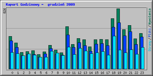 Raport Godzinowy -  grudzie 2009
