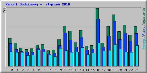 Raport Godzinowy -  stycze 2010