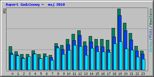Raport Godzinowy -  maj 2010