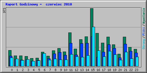 Raport Godzinowy -  czerwiec 2010