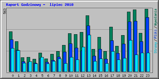 Raport Godzinowy -  lipiec 2010