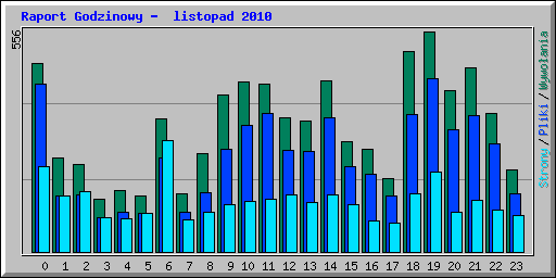 Raport Godzinowy -  listopad 2010