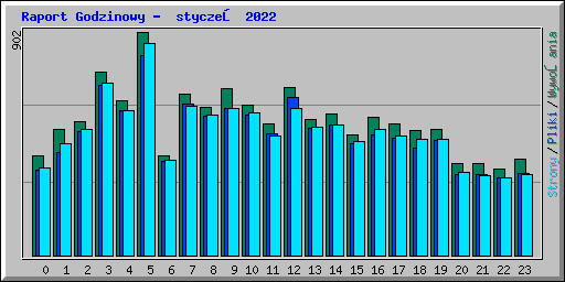 Raport Godzinowy -  styczeń 2022