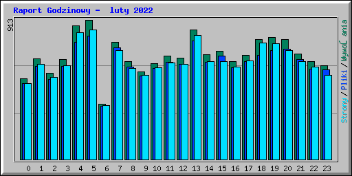 Raport Godzinowy -  luty 2022