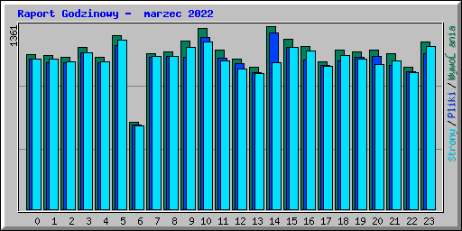 Raport Godzinowy -  marzec 2022