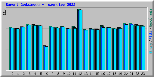 Raport Godzinowy -  czerwiec 2022