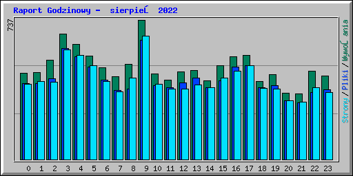 Raport Godzinowy -  sierpień 2022