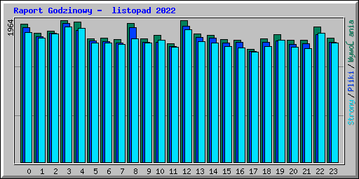 Raport Godzinowy -  listopad 2022