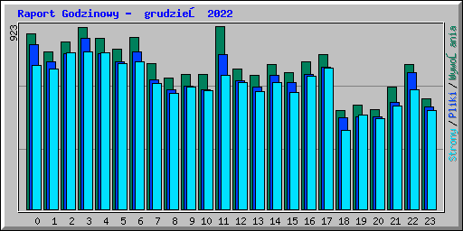 Raport Godzinowy -  grudzień 2022