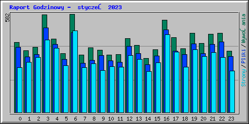 Raport Godzinowy -  styczeń 2023