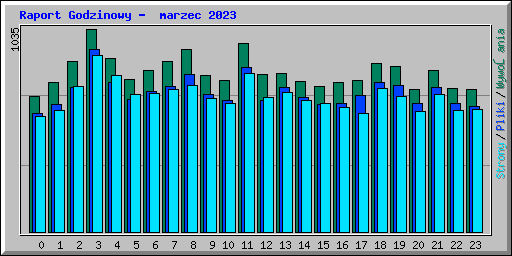 Raport Godzinowy -  marzec 2023