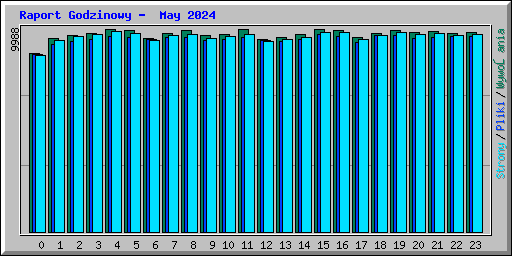 Raport Godzinowy -  May 2024
