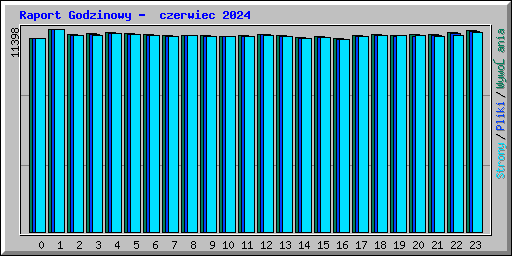 Raport Godzinowy -  czerwiec 2024