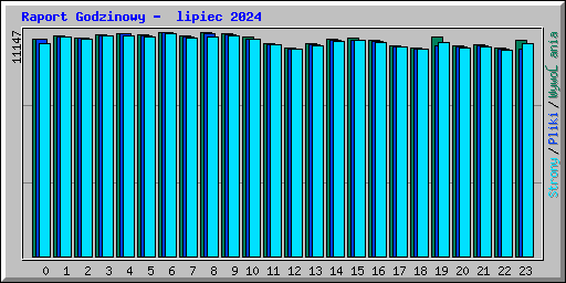 Raport Godzinowy -  lipiec 2024