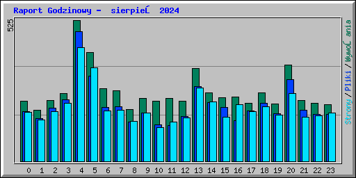 Raport Godzinowy -  sierpień 2024