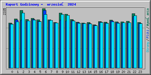 Raport Godzinowy -  wrzesień 2024